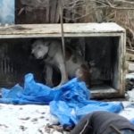 Zubozheny zivoril v rozpadnutej chladnicke Cakaju co s nim bude dalej