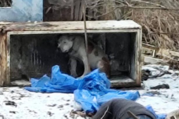 Zubozheny zivoril v rozpadnutej chladnicke Cakaju co s nim bude dalej