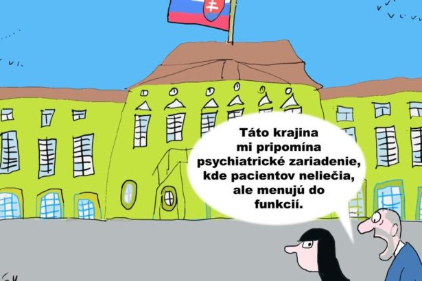 karikatura dna salamunske riesenie