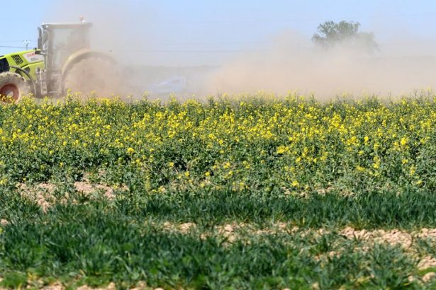 pokles cien v polnohospodarstve ceny v stavebnictve su stale vysoke