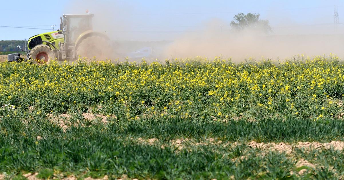 pokles cien v polnohospodarstve ceny v stavebnictve su stale vysoke