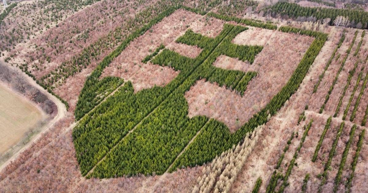 rarita o ktorej ste pravdepodobne nevedeli statny znak v horovciach vysadil nadseny dobrovolnik