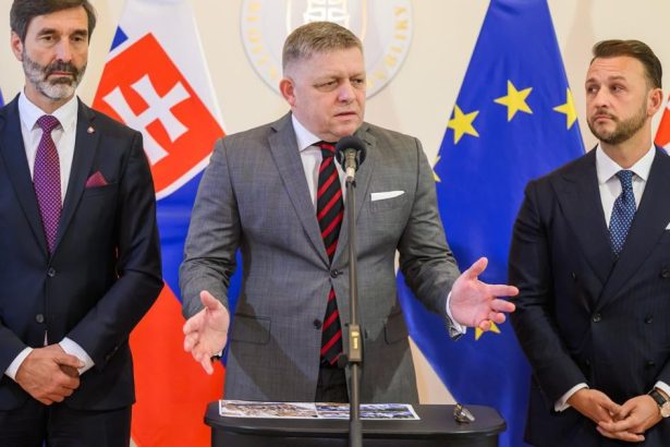 Absurdne ale vitane Vlada pri zakone o oznamovateloch ustupila najma kvoli financnemu tlaku Unie hovori odbornicka