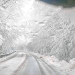 Cesta cez Stos je uzavreta blokuje ju spadnuty strom