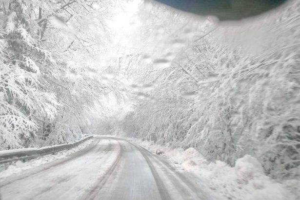 Cesta cez Stos je uzavreta blokuje ju spadnuty strom