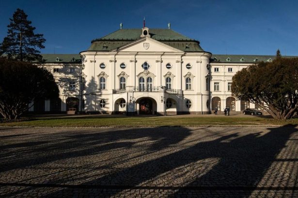 Clenky Demokratickej strany vratili kvety k Medzinarodnemu dnu zien pred urad vlady