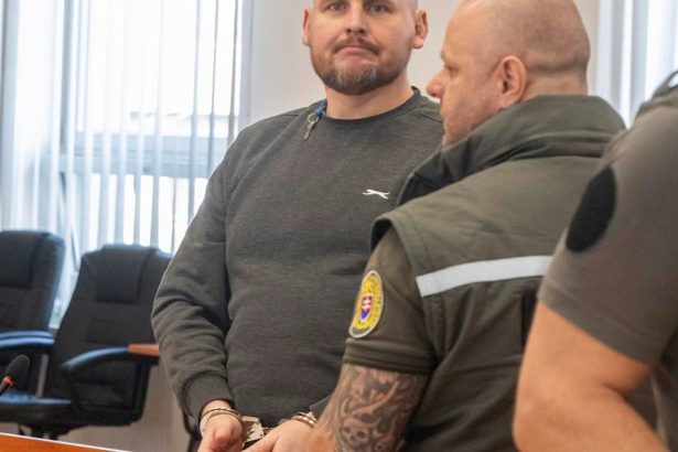 Extremista Bombic vo svojej zaverecnej reci vyhlasil ze nie je hrozbou pre spolocnost