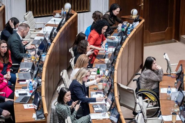 Hnutie PS ma zaujem o prisnejsie tresty pre politikov za korupciu