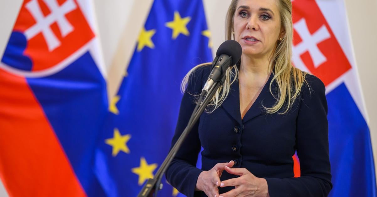 Investori sa pyta za dostupnost elektriny a kapacitu siete