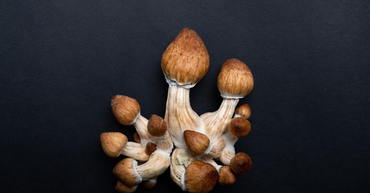 Nepatrila medzi dobyatok Europanov Odkial sa vzala popularna halucinogenna huba