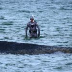 Ochranari na severe Nemecka zacali dalsi pokus o zachranu uviaznutej velryby