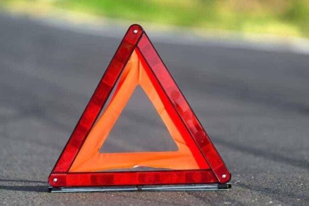 Po slimacom tempe zrazu turbo Aktivita stupa priamo umerne s bliziacim sa terminom volieb