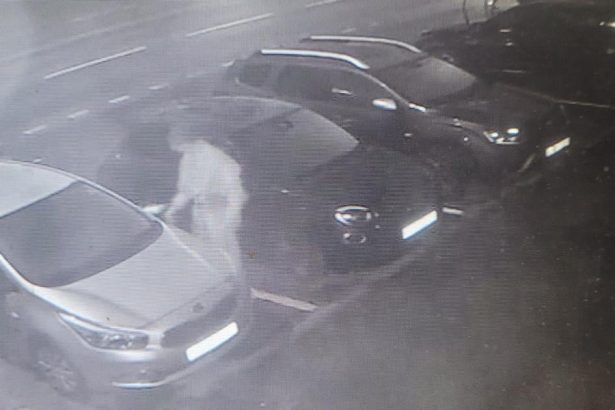 Policia uz poznala identitu muza ktory poskodil zaparkovane aut Caka na vycislenie skody