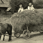 Pre 9 kil masti prisli o dom aj podu Ako kolektivizacia nicila rodiny
