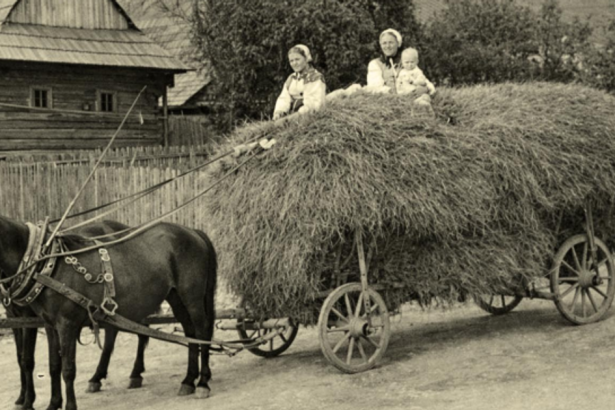 Pre 9 kil masti prisli o dom aj podu Ako kolektivizacia nicila rodiny