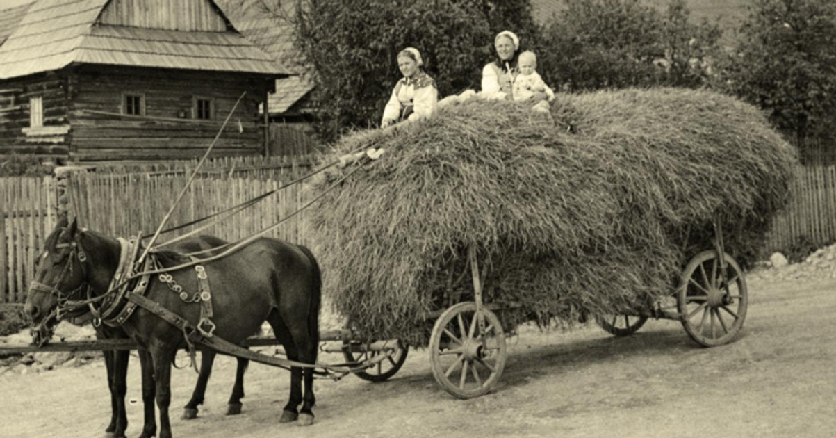 Pre 9 kil masti prisli o dom aj podu Ako kolektivizacia nicila rodiny