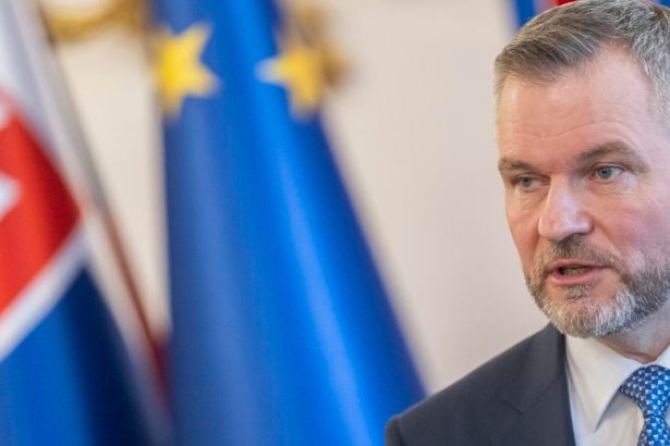 Spojit oficialnu navstevu Ruska s volbami na Slovensku je podla Pellegriniho hlupost