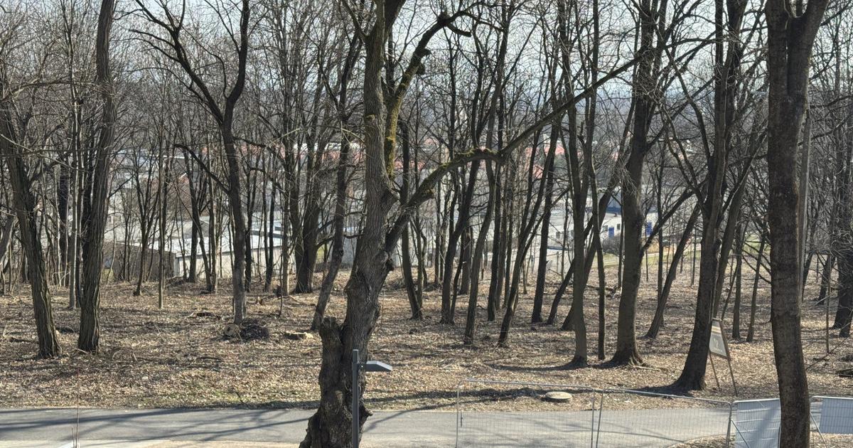 Viac ako 25 hektarov zanedbaneho lesoparku premenia na relaxacnu zonu Mesto tam nechce lunapark