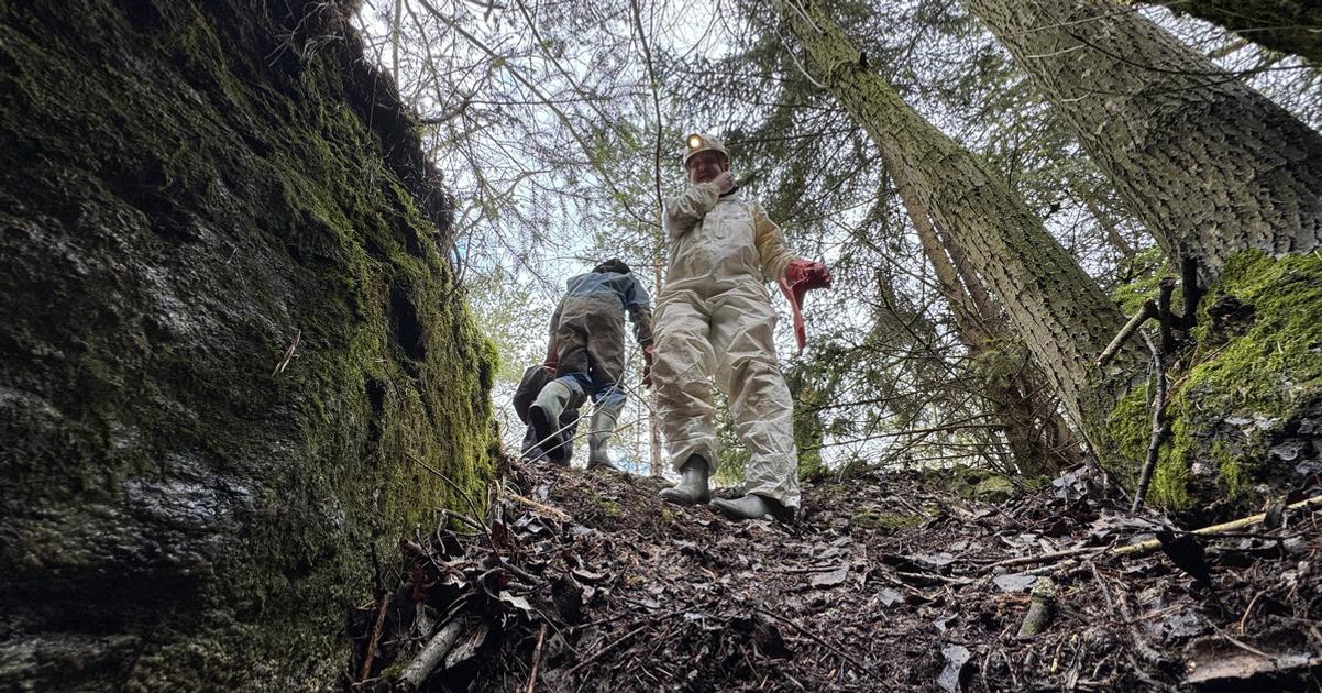 Z jaskyne urobil nelegalnu kafileriu Nali v nej desiatky kilogramov zvieracich pozostatkov