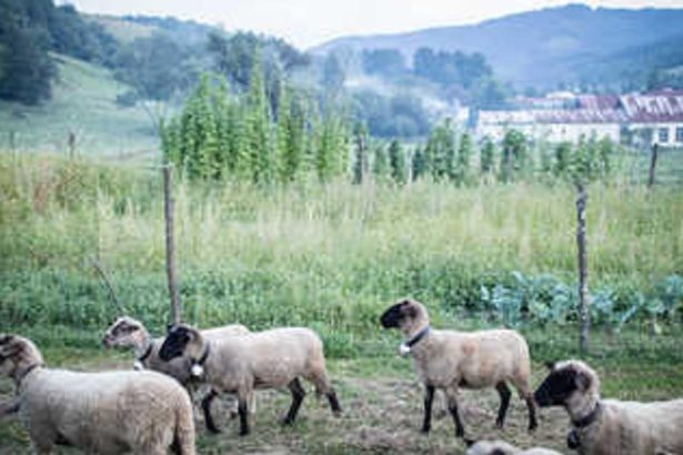 Zemplin si spravodlivost nemusi vyprosovat ma na nj pravo