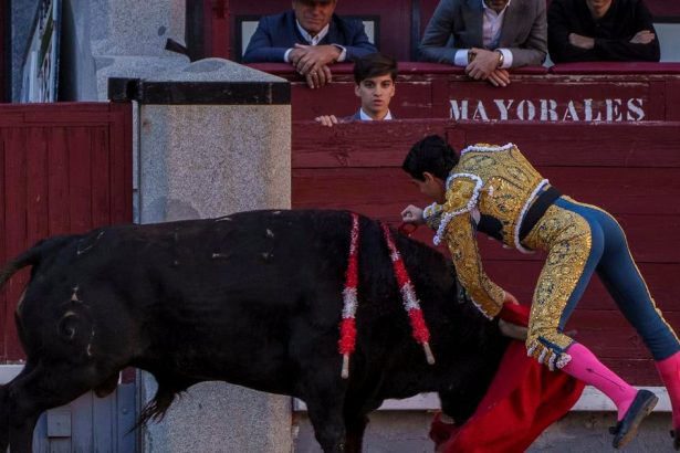 Byk usmrtill v arene v spanielskej Malage byvaleho toreadora