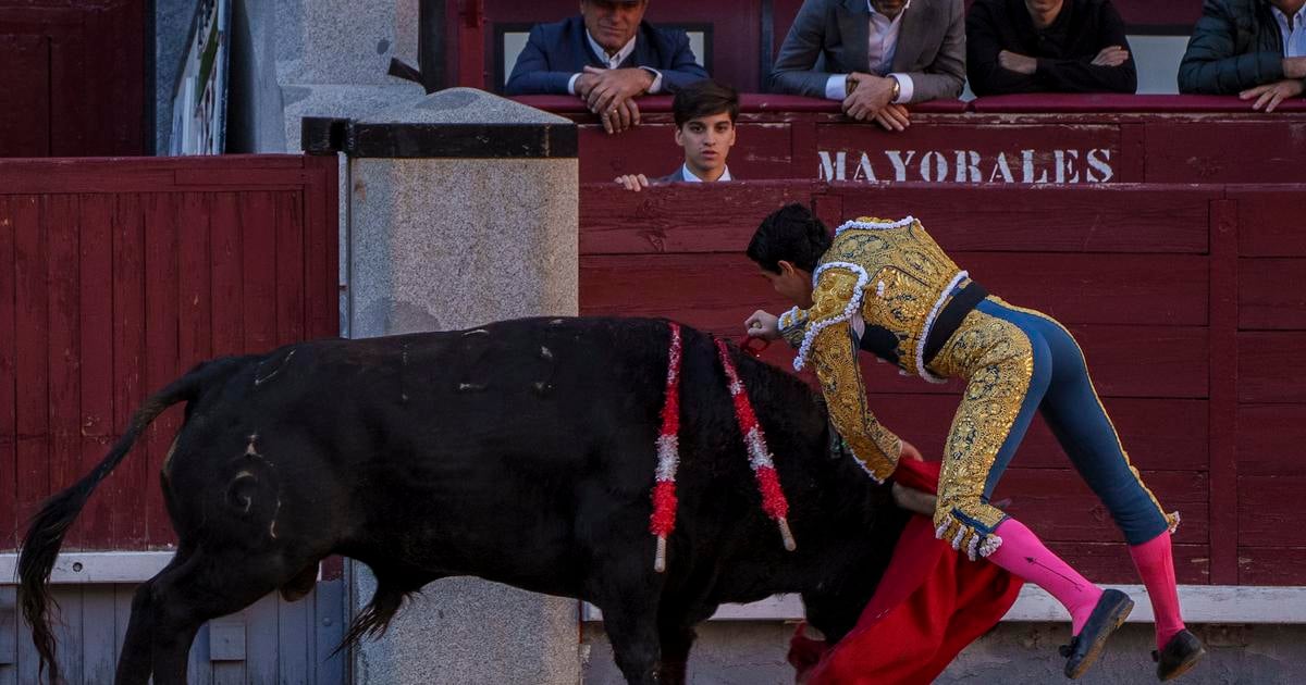 Byk usmrtill v arene v spanielskej Malage byvaleho toreadora