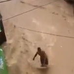 Pocet obet zapal v Dominikanskej republike a na Haiti vzrastol na 19