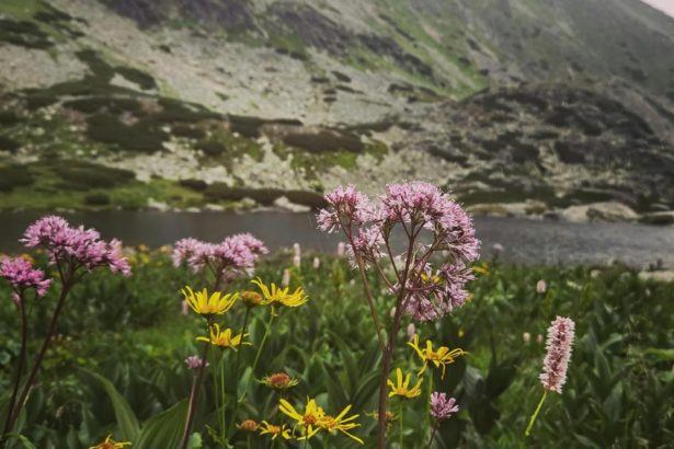 V Tatrach prebieha ticha revolucia Specialisti z nich miznu