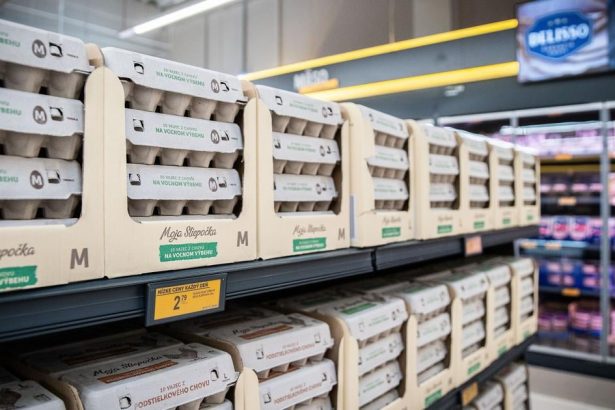 obyvatelia slovenska skonzumuju priemerne 213 kusov vajec rocne