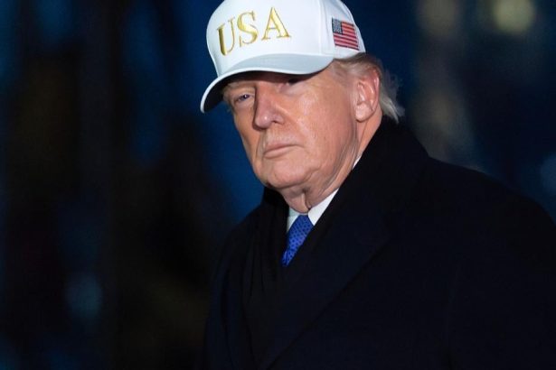 spor o trumpovu salu pokracuje narodna komisia pre planovanie hlavneho mesta odporuje sudcovi