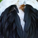 Bojnicka zoologicka zahrada ma novy prirastok rodicia si ho prisne straia expoziciu museli v minulosti ohradit