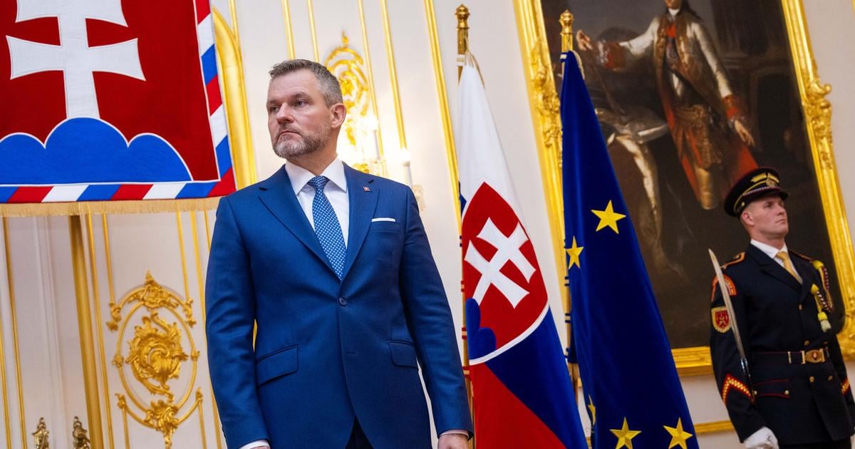 Najdolezitejsiu skupinu v nemocniciach tvoria zdravotne sestry a porodne asistentky uvedol prezident