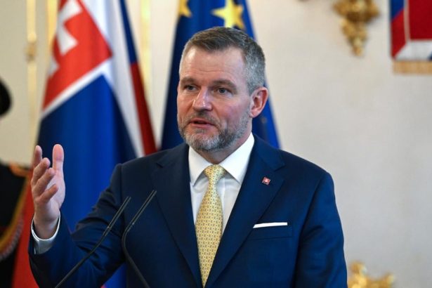 Prezident schvalil novelu zakona o obecnej policii