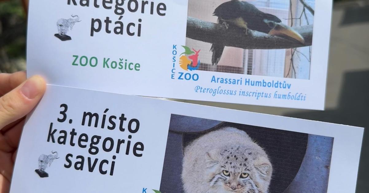 Zoologicka zahrada Kosice ziskala dve ceny na cesko slovenskej sutazi Biely slon
