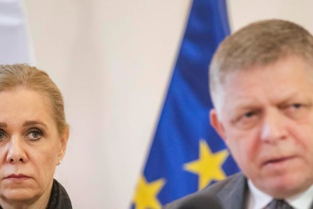 Fico siel do Pariza po recept na rast O pol roka neskr OECD hovori ze ekonomika spomaluje