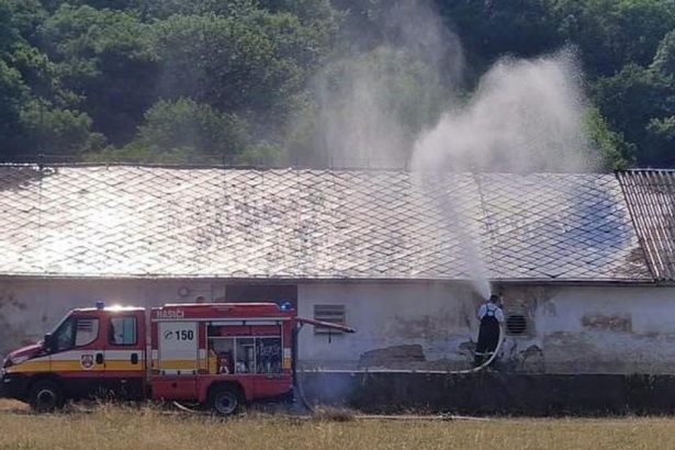 Hasici ochladzovali strechu hangara s tisickami kurciat vodou stovky z nich uhynuli