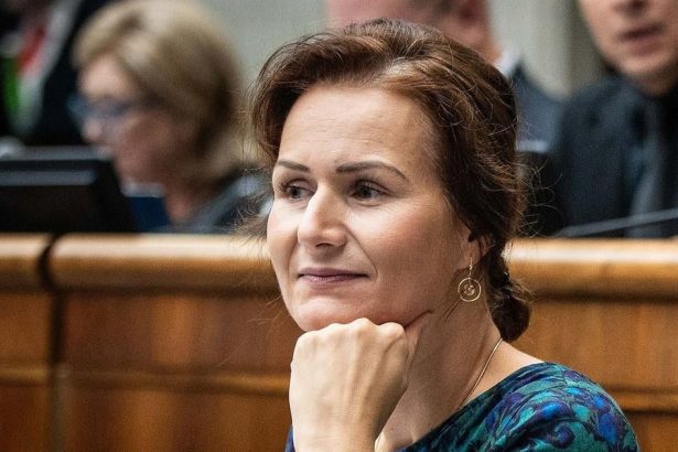 Poslankyna Bajo Holeckova z SaS vidi ochotu na riesenie problemov integrovanch posudkov