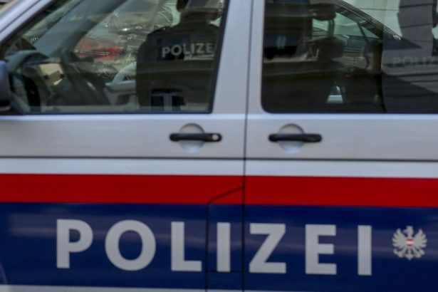 Rakuska policia objavila zamurovane telo zeny v dome nedaleko Viedne