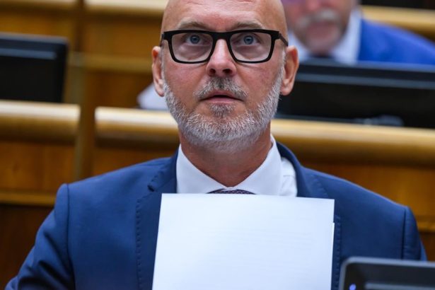 SaS predlozi do parlamentu zakon proti nasilu na zenach stat podla nej zlyhal na viacerich urovnich
