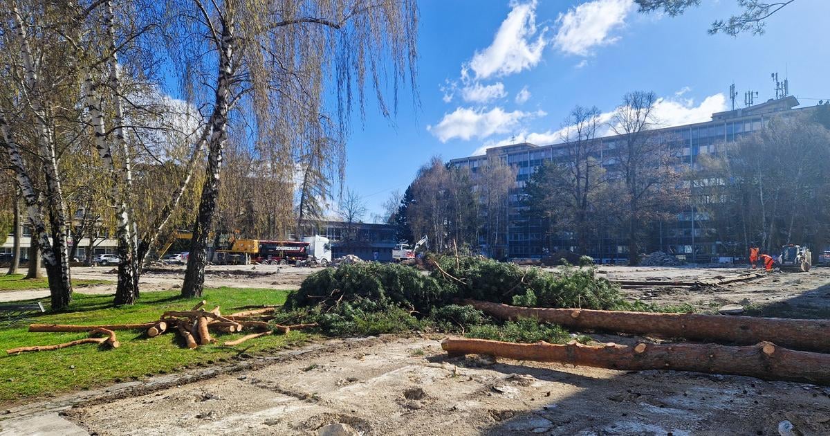 Stromy na Vajanskeho namesti vyvolali vasne Primator Martina celi kritike za svoje vyjadrenia