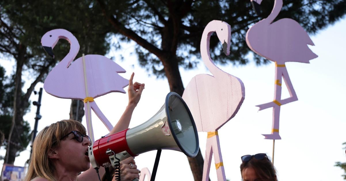 Uz nejde len o plameniaky Albanci sa vzburili vlada moze zbrzdit cestu do Unie