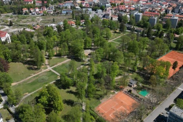 Z historickeho parku zmizlo takmer 150 stromov prichadza obnova Po mesiacoch ho opt spristupnili