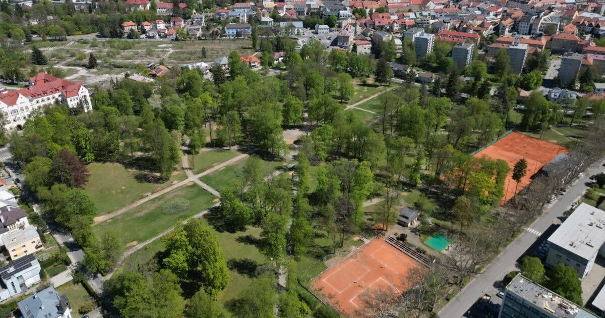 Z historickeho parku zmizlo takmer 150 stromov prichadza obnova Po mesiacoch ho opt spristupnili