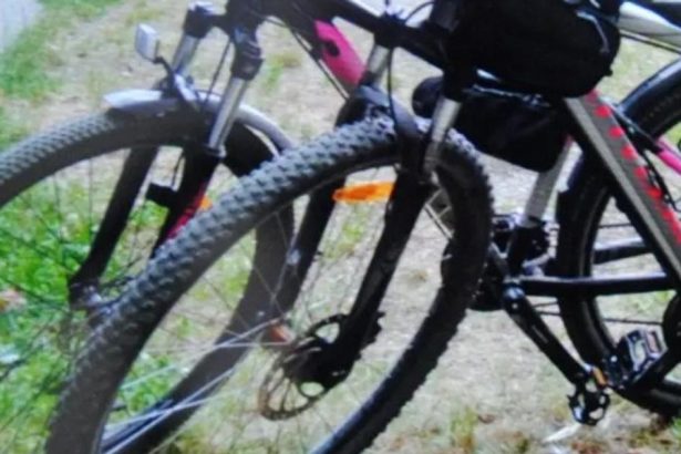 Z pivnic v bytovkach vo velkom miznu bicykle Ani zamknute dvere mnohokrat nepomahaju