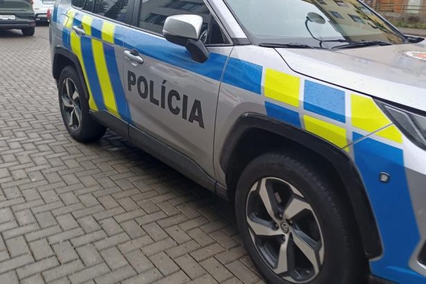 Agresivny muz skomplikoval zasah zachranarov Kladivom ohrozoval partnerku aj policajtov