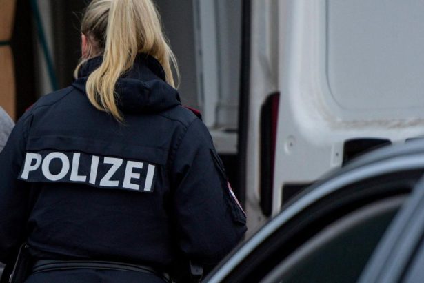 Muz v Rakusku zabil sekerou partnera svojej ex priatelky