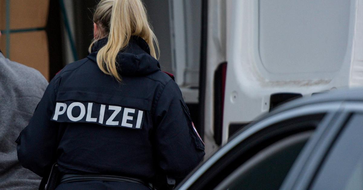 Muz v Rakusku zabil sekerou partnera svojej ex priatelky