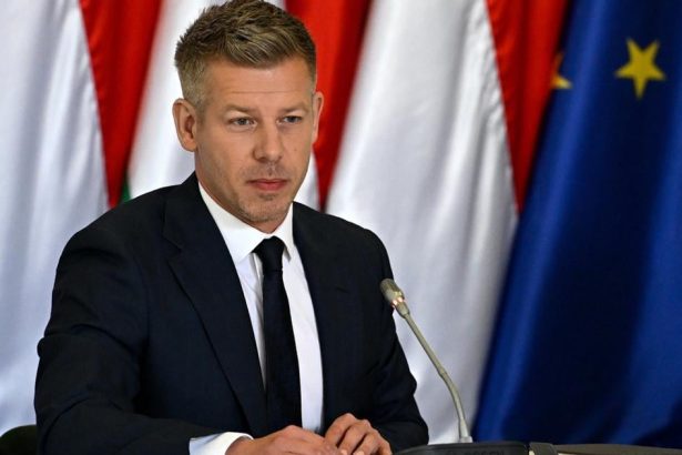 Sulyok vzdy uprednostnoval zaujmy Fideszu vyhlasil madarsky premier Magyar
