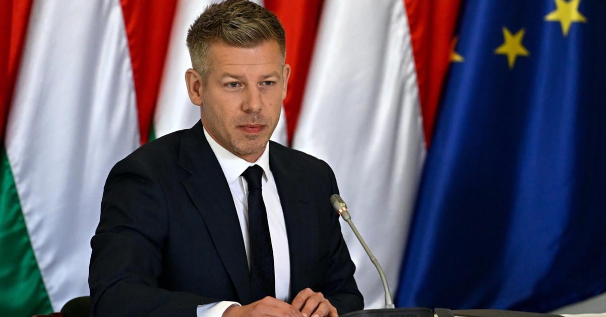 Sulyok vzdy uprednostnoval zaujmy Fideszu vyhlasil madarsky premier Magyar