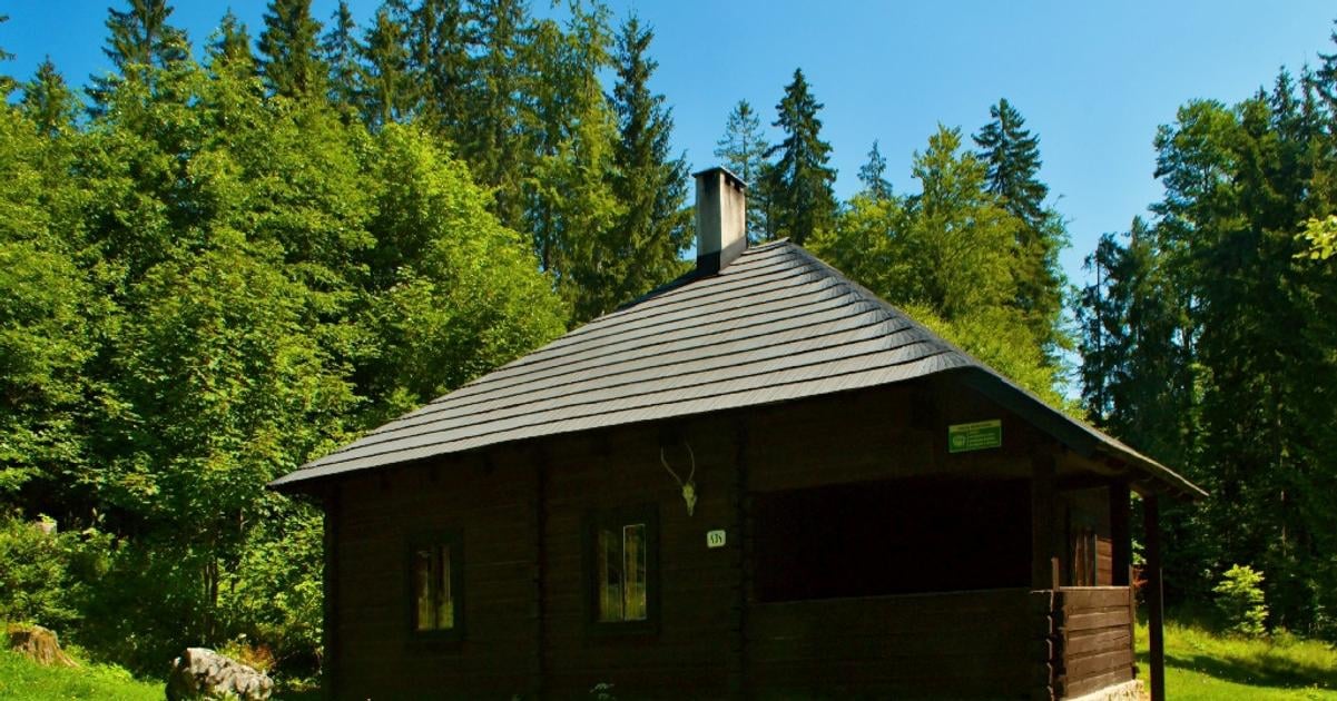 Za 20 eur noc uprostred divociny V tychto chatkach sa ludia odpojuju od sveta